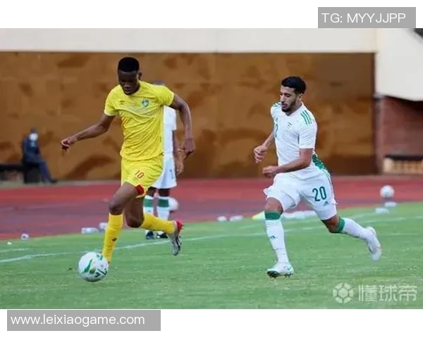 津巴布韦足球明星盘点及其在国际赛场上的辉煌成就